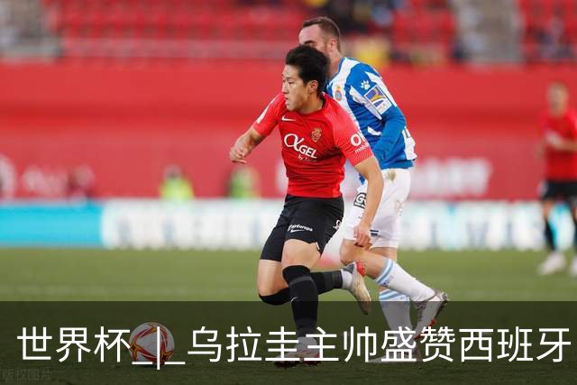 世界杯 | 乌拉圭主帅盛赞西班牙“精致足球”