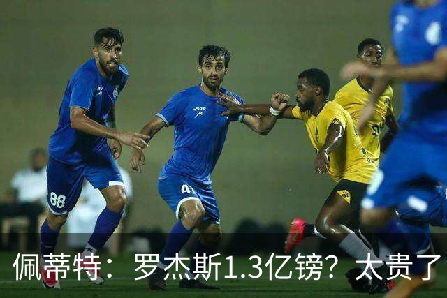 佩蒂特：罗杰斯1.3亿镑？太贵了！阿森纳可以把尼科作为替代方案